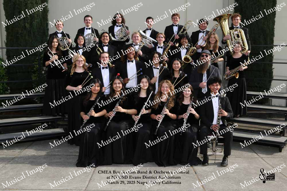 Musical Images
